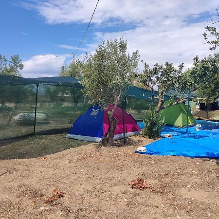 Aree Tende Presso La Casa In Campagna Di Ottavia Hotel Alezio Luaran gambar
