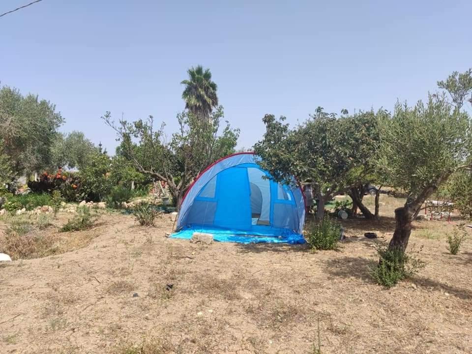 Aree Tende Presso La Casa In Campagna Di Ottavia Hotel Alezio Luaran gambar