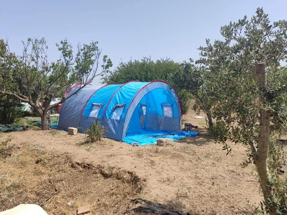 Aree Tende Presso La Casa In Campagna Di Ottavia Hotel Alezio Luaran gambar