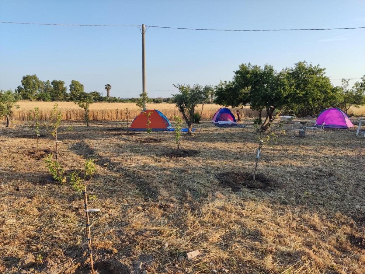Aree Tende Presso La Casa In Campagna Di Ottavia Hotel Alezio Luaran gambar