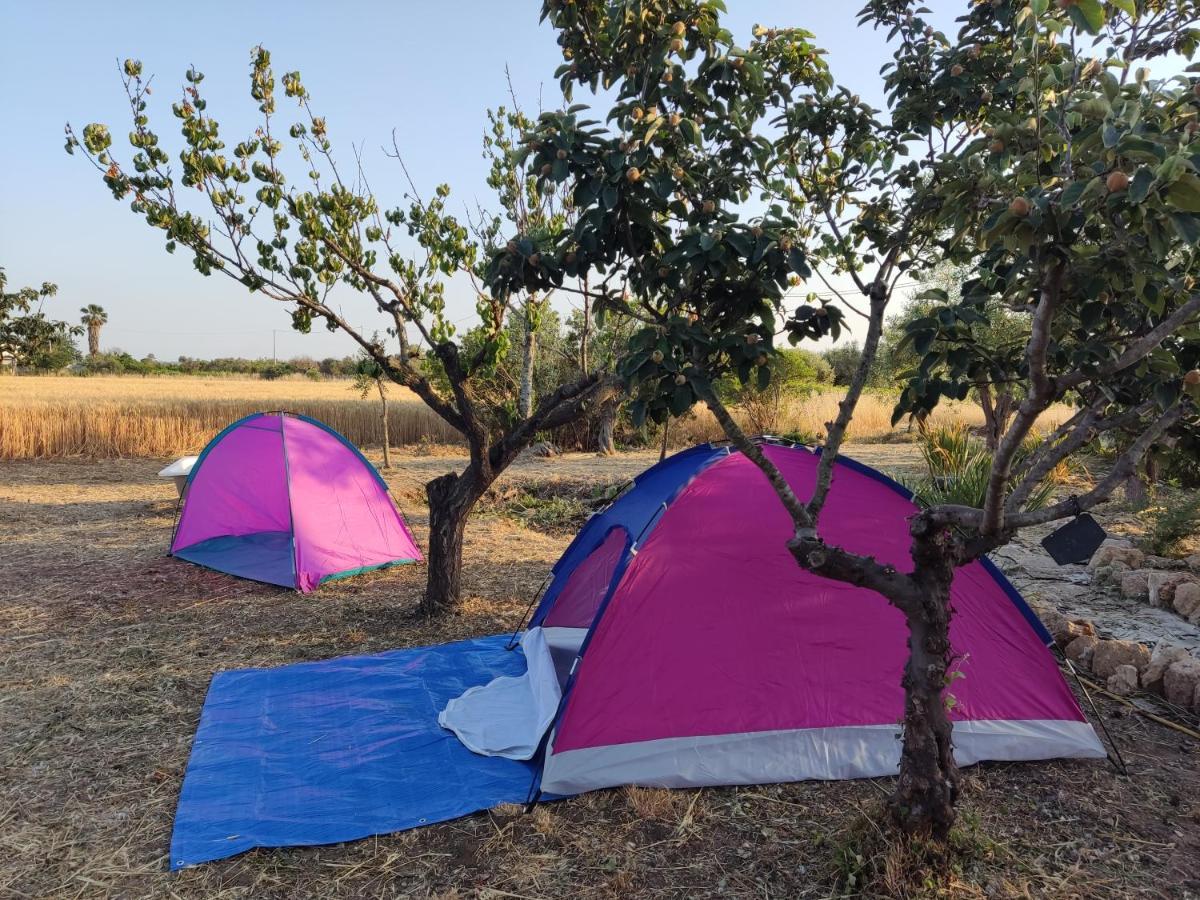 Aree Tende Presso La Casa In Campagna Di Ottavia Hotel Alezio Luaran gambar