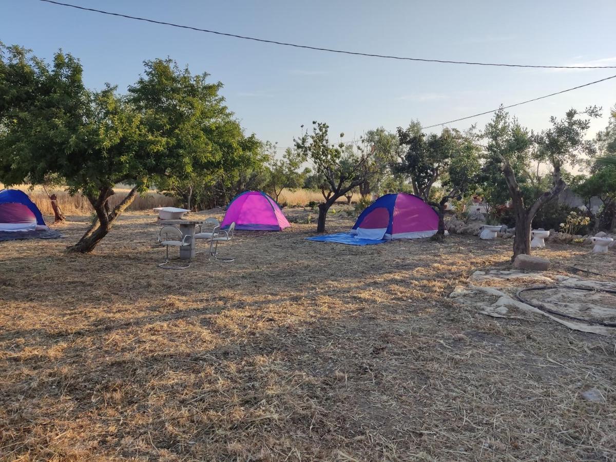 Aree Tende Presso La Casa In Campagna Di Ottavia Hotel Alezio Luaran gambar