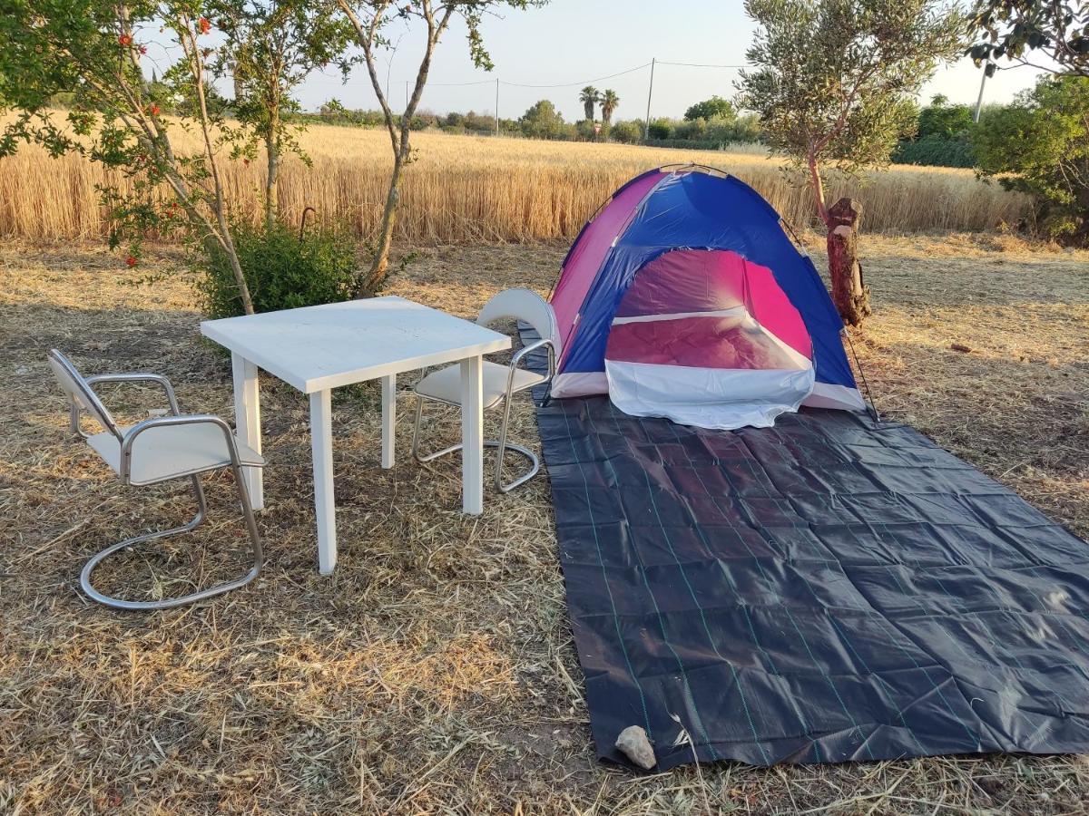 Aree Tende Presso La Casa In Campagna Di Ottavia Hotel Alezio Luaran gambar